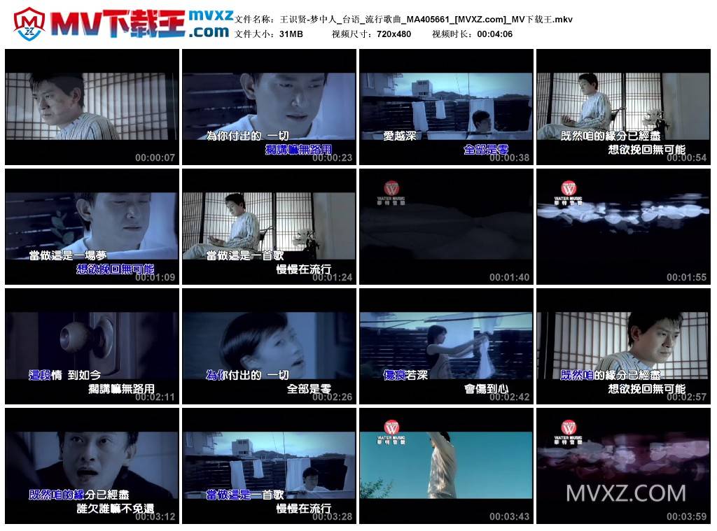 王识贤-梦中人_台语_流行歌曲_MA405661